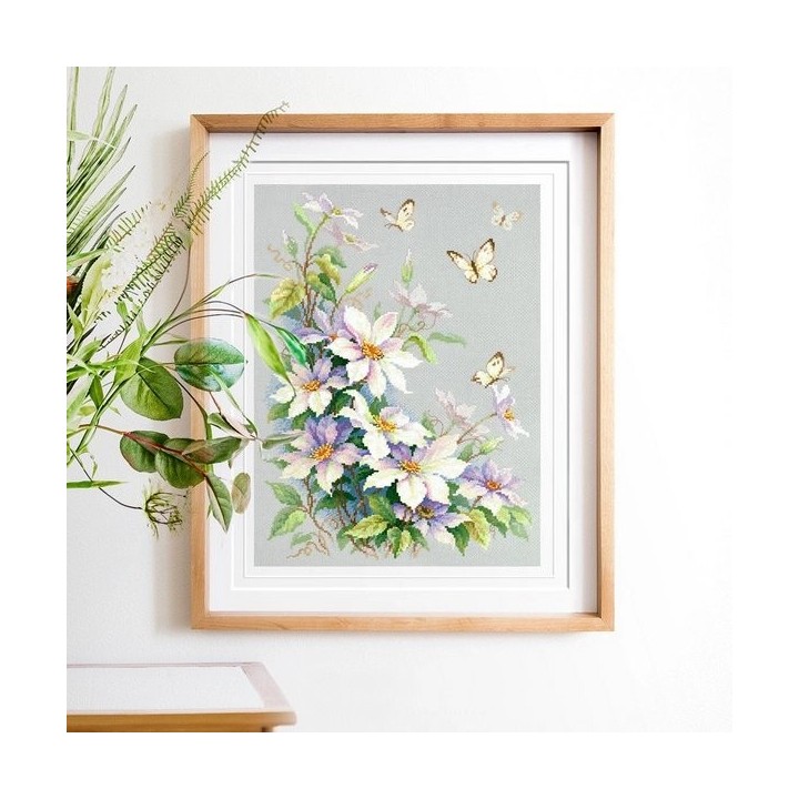 Stickset Clematis