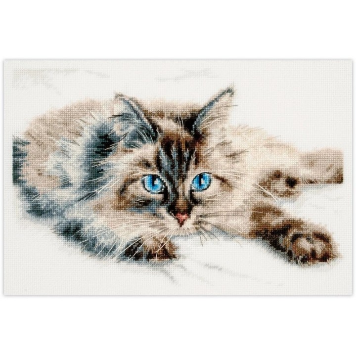 Kit de broderie Bonheur tout doux