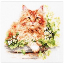 Kit de broderie Le chat roux