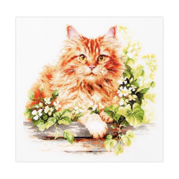 Embroidery kit The Ginger Cat