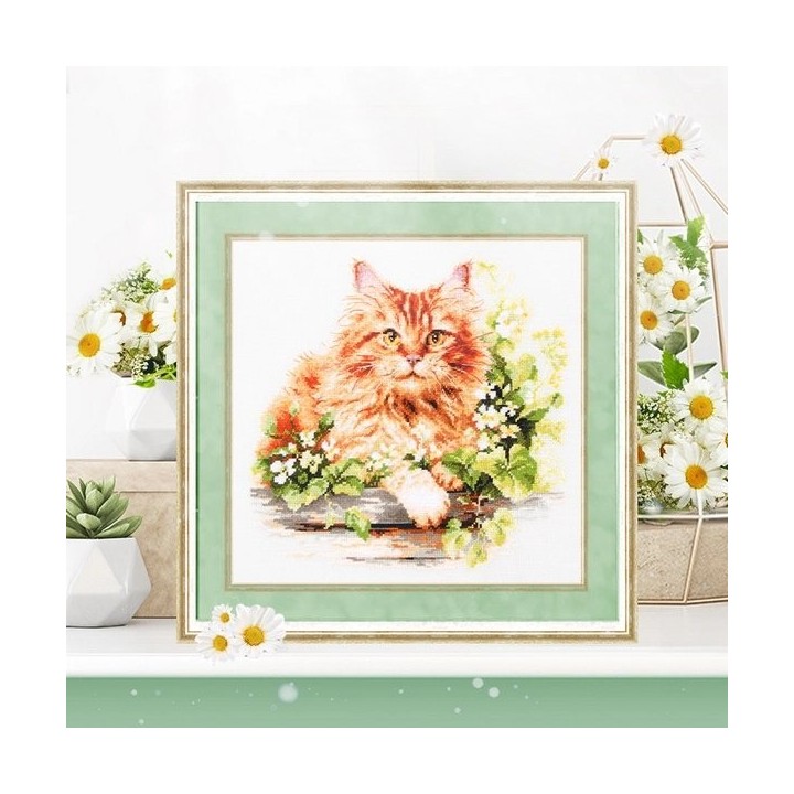 Stickset Die rote Katze