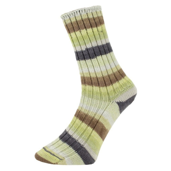  Prolana Pro Lana Golden Socks Tannheim 5 190.06