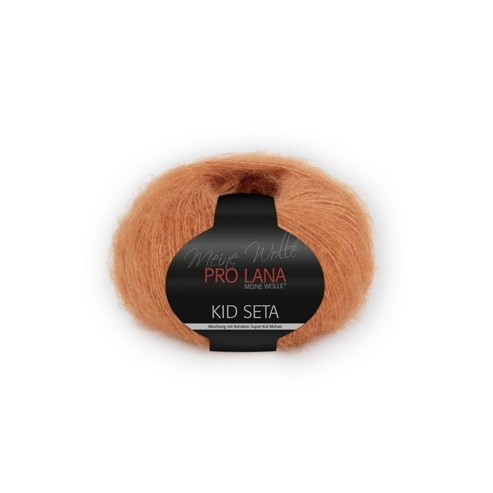  Prolana Pro Lana Kid Seta 25