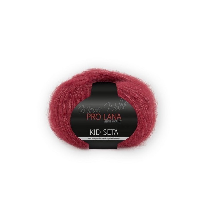  Prolana Pro Lana Kid Seta 31