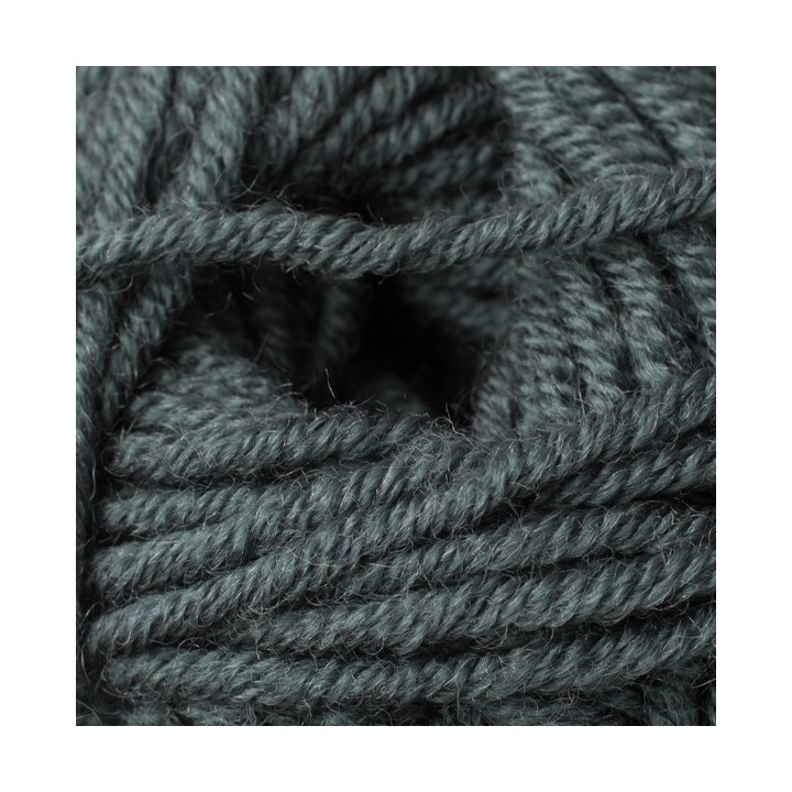 Phildar Phil Irlandais Vert de gris
