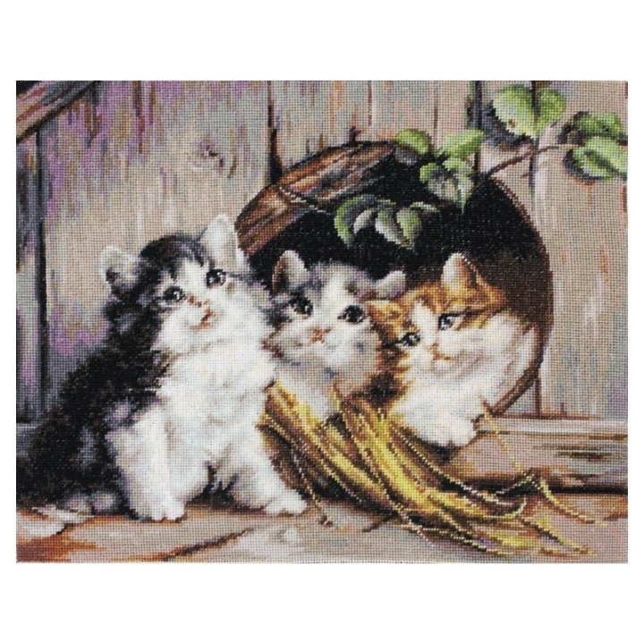 Luca-S Stickset freundlich Shelter