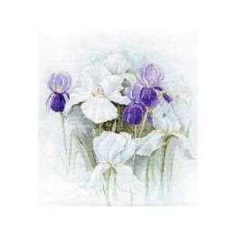 Luca-S Stickset Iris