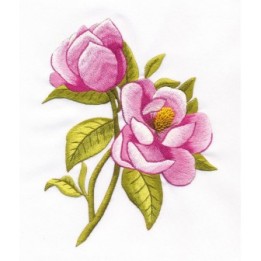 Panna Magnolia