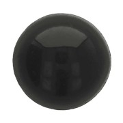 Animal eyes black