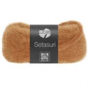 Setasuri