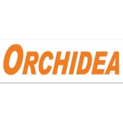 Orchidea